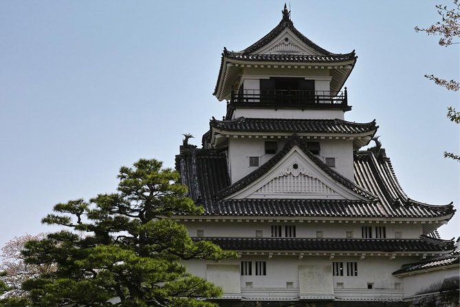 1-Day Kochi Highlights Tour with local guide - What the $158.56 Price Buys You