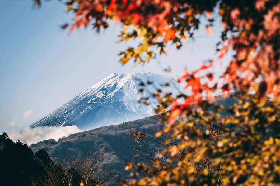1-Day Mt Fuji and Hakone Sightseeing trip from Tokyo - Starting from Tokyo, Yokohama, or Chiba