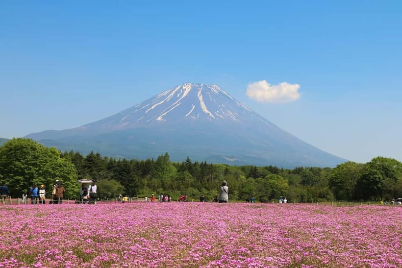 1-Day Mt Fuji and Hakone Sightseeing trip from Tokyo - Oishi Park for flowers, lake views, and a short browse