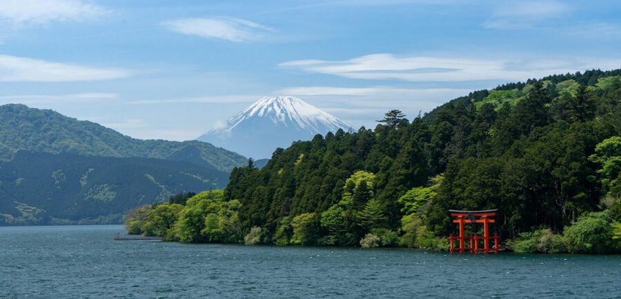 1-Day Mt Fuji and Hakone Sightseeing trip from Tokyo - What the private car adds to the day