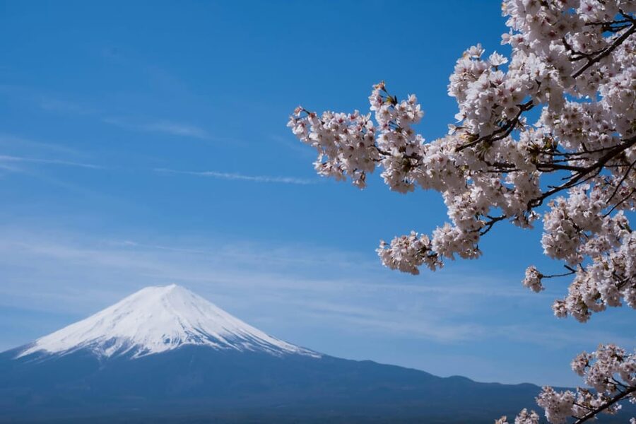 1-Day Mt Fuji and Hakone Sightseeing trip from Tokyo - Lake Kawaguchi: your main Fuji viewing stop