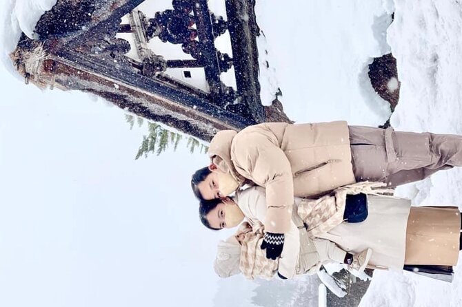 1 Day Private Charter Tour to Shirakawa-go & Takayama - Why this private day trip makes sense from Kanazawa
