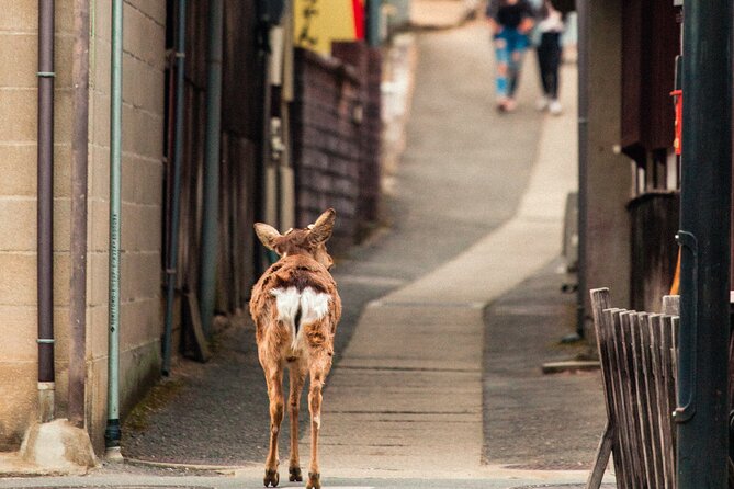 1-Day Private Sightseeing Tour in Hiroshima and Miyajima Island - Crossing to Miyajima Island