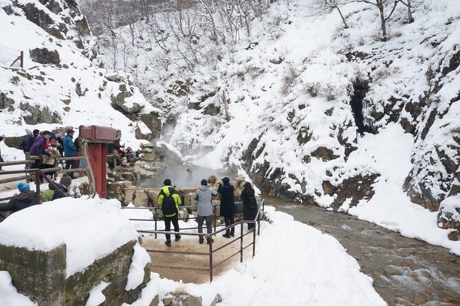 1-Day Snow Monkeys, Zenko-ji Temple & Sake in Nagano - Group size, pace, and suitability
