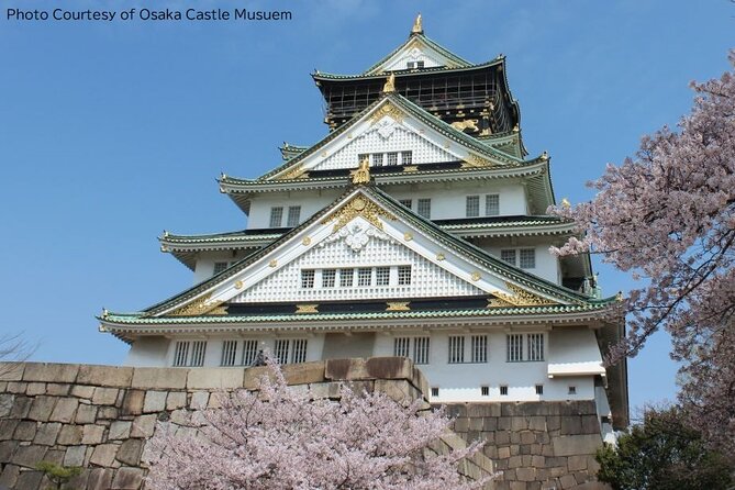 1 Day Takoyaki Making and Osaka Castle Walking Tour - A full day that shows Osaka from several angles