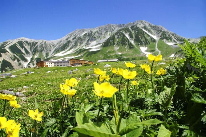 1-Day Tateyama-Kurobe Tour: Walking on the 'Roof of Japan' - Why the Tateyama-Kurobe route is worth a full day