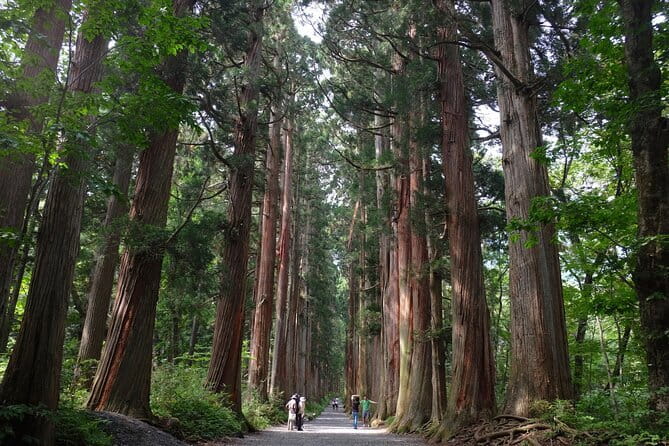 1-Day Togakushi Tour: Soba making, Ninja Town, and Hidden Shrines - Key things to know before you book
