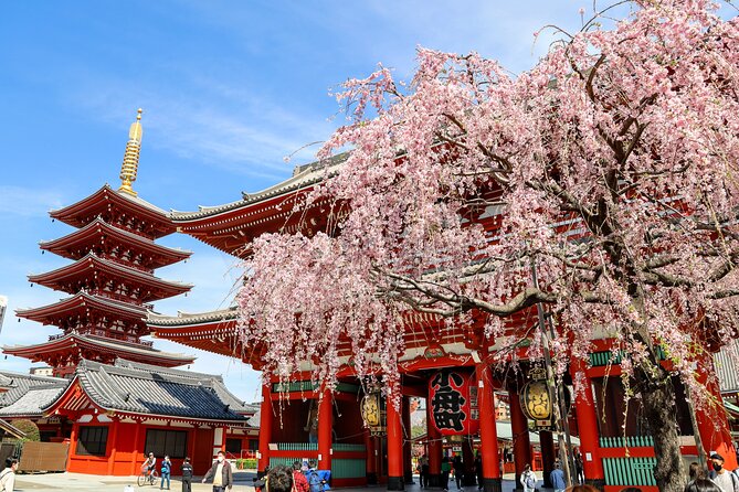 1-Day Tokyo Bus Tour - Why this tour works as a first day in Tokyo