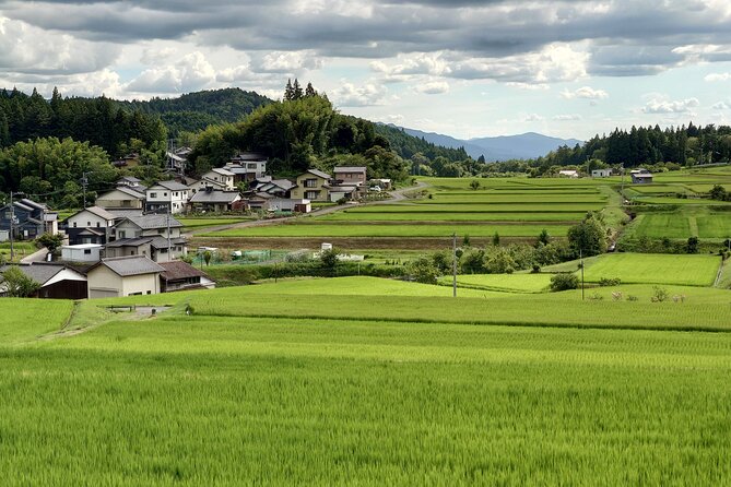 1-Day Tour from Matsumoto: Walk the Nakasendo Trail - What the $211.37 price buys you