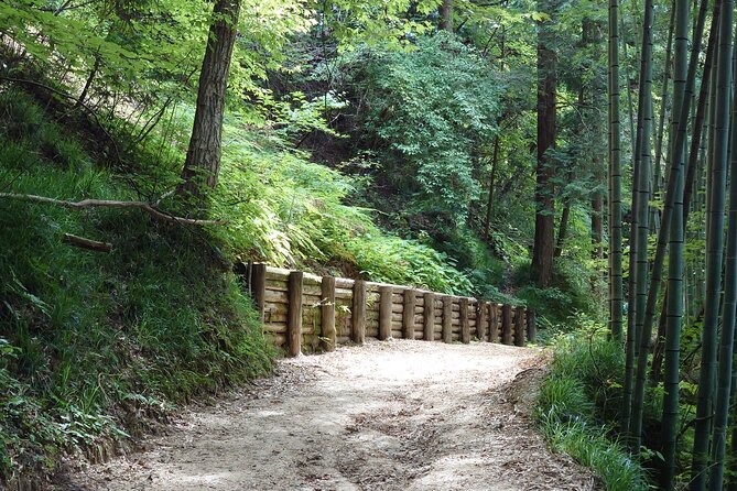 1-Day Tour from Matsumoto: Walk the Nakasendo Trail - Weather, timing, and what to bring