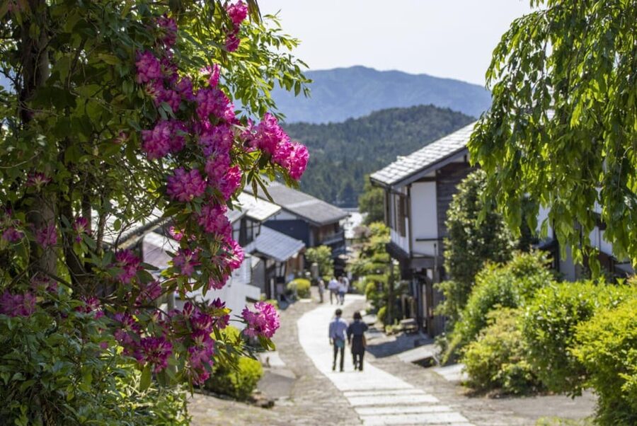 1-Day Tour from Nagoya: Hiking the Historic Nakasendo Trail - The 8-kilometer walk through the Kiso Valley