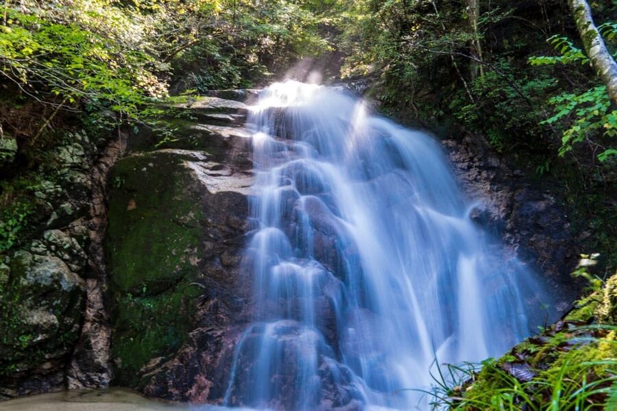 1-Day Tour from Nagoya: Hiking the Historic Nakasendo Trail - A bus ride that earns its place