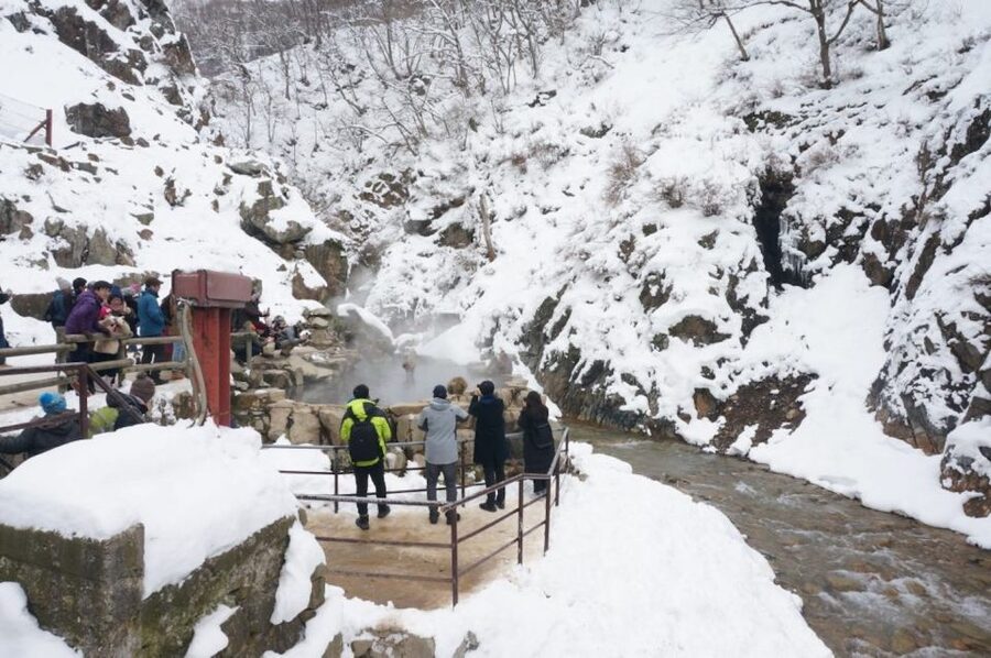 1 Day Tour: Snow Monkeys & Snow Fun in Shiga Kogen - The trail to Jigokudani Monkey Park
