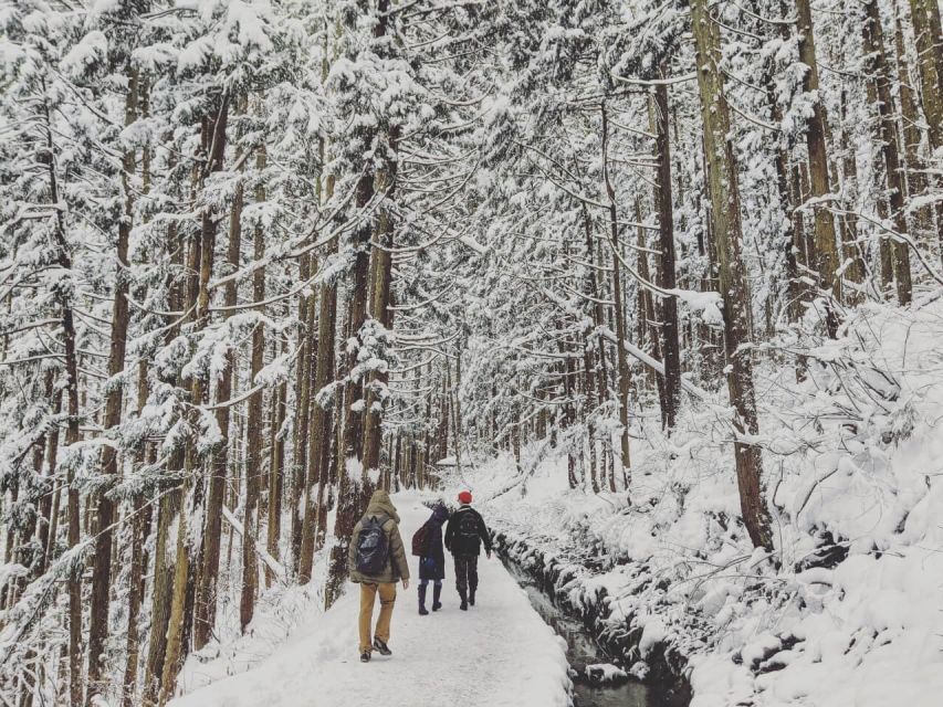 1 Day Tour: Snow Monkeys & Snow Fun in Shiga Kogen - What $165 buys you