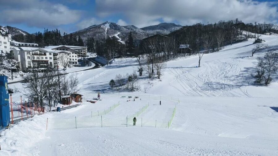 1 Day Tour: Snow Monkeys & Snow Fun in Shiga Kogen - Can you do this from Tokyo?