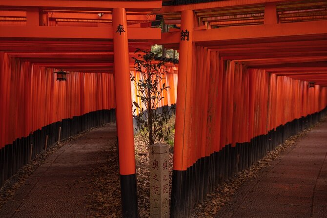 10 Must-see Spots in Kyoto One Day Private Tour (up to 7 people) - Kiyomizu-dera and the Higashiyama streets