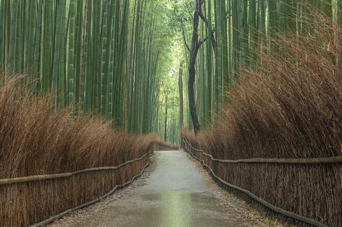 10 Must-see Spots in Kyoto One Day Private Tour (up to 7 people) - Bamboo, garden, and bridge views in Arashiyama