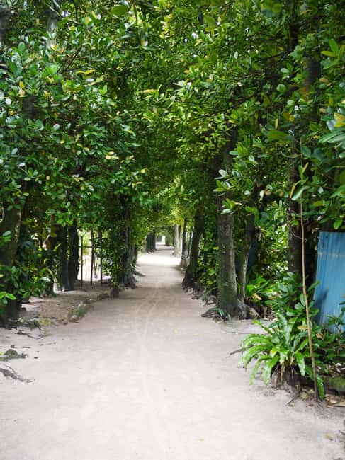 <1Dya Tour>Churaumi Aquarium, Cape Manzamo, American Village - Audio guidance replaces a full-time sightseeing guide
