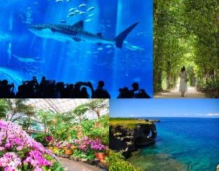 <1Dya Tour>Churaumi Aquarium, Cape Manzamo, American Village - Cape Manzamo: a quick look at Elephant Rock