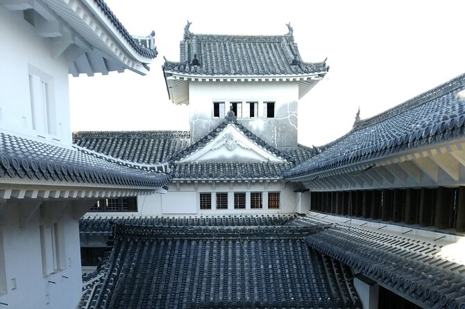 2.5 Hour Private History and Culture Tour in Himeji Castle - Castle grounds, local stories, and extra advice
