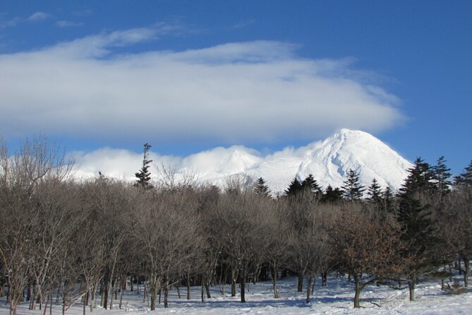 3.5hours Primeval Forest Snowshoe hike and Wildlife Watching Tour - Following tracks through the primeval forest