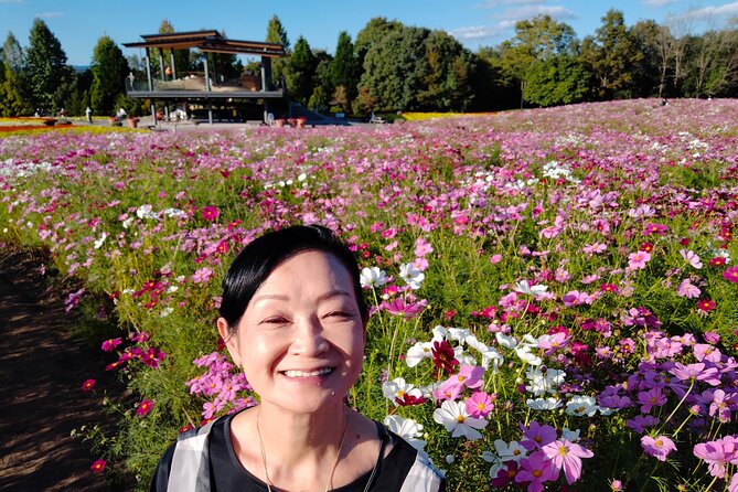3 Day Japan Highlights Tour: Tokyo, Mt.Fuji, Nara, Kyoto, Osaka - A fast route from Narita to Osaka