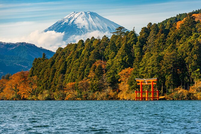 3 Day Japan Highlights Tour: Tokyo, Mt.Fuji, Nara, Kyoto, Osaka - What guide support adds to a packed schedule