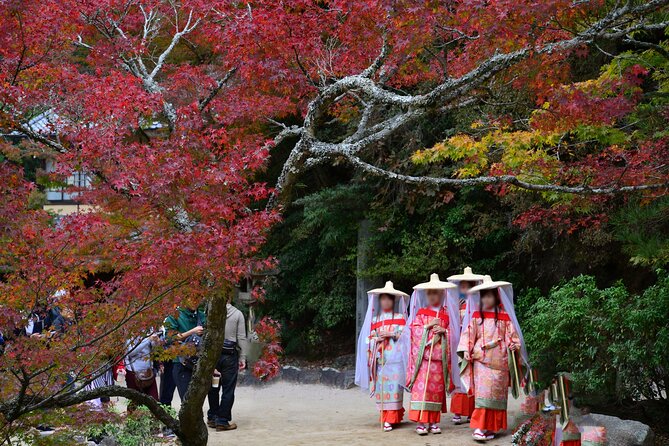 4 Hour Miyajima PRIVATE Tour - Momijidani Park in Every Season
