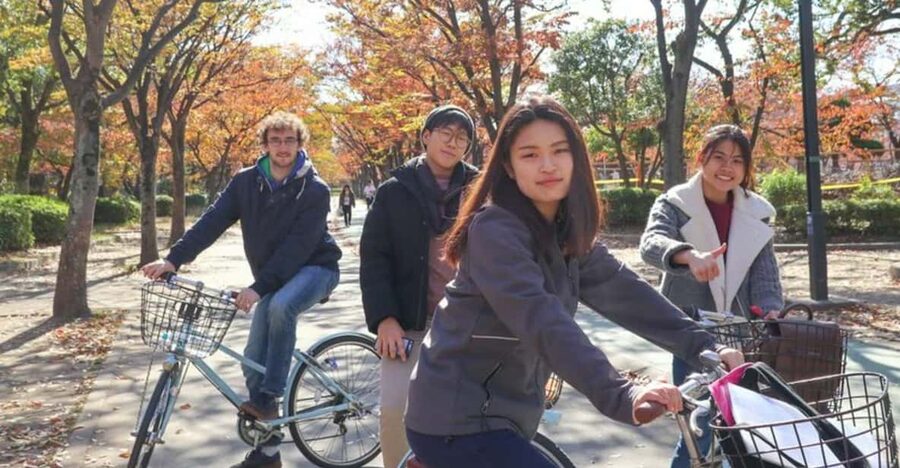 5-Hour Osaka Highlights Bike Tour with Lunch - Weather, food, and fitness considerations