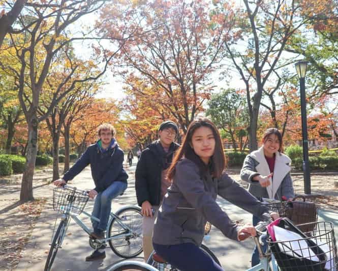 5-Hour Osaka Highlights Bike Tour with Lunch - Osaka Tenmangu Shrine and local streets