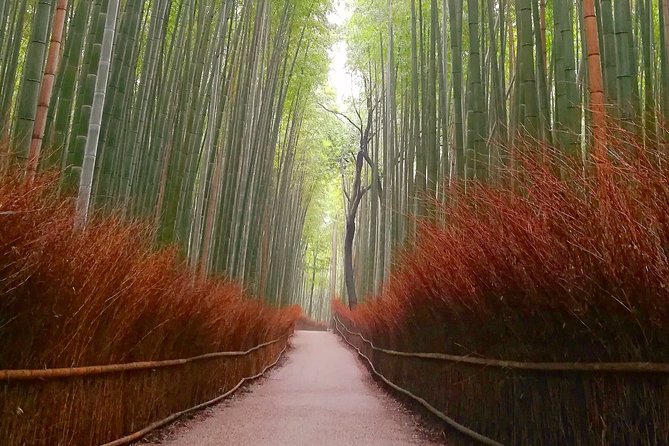 5 Top Highlights of Kyoto Full Day Bike Tour (E-bike option) - Standard bike or e-bike?