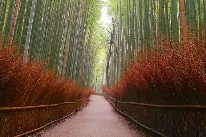 Afternoon Kyoto Bike Tour: Bamboo Forest, Monkeys & Hidden Spots - The quieter parts are what make the tour different