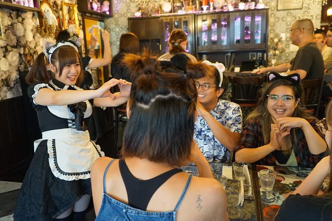 Akihabara Anime & Game Adventure Walking Tour (Group or Private) - Why a guide helps in Akihabara