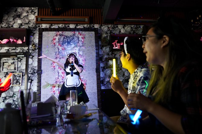 Akihabara Anime & Game Adventure Walking Tour (Group or Private) - Meeting at Electric Town Gate