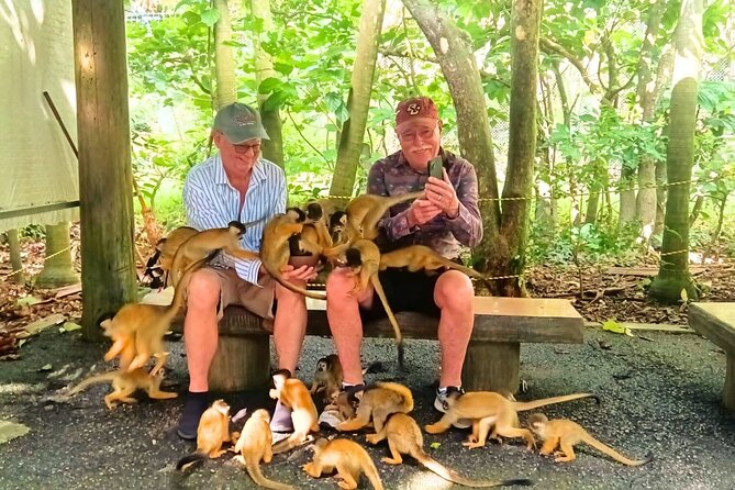 All-Inclusive Ishigaki Island Shore Excursion with English Guide - Kabira Bay: one hour at Ishigaki’s famous coast