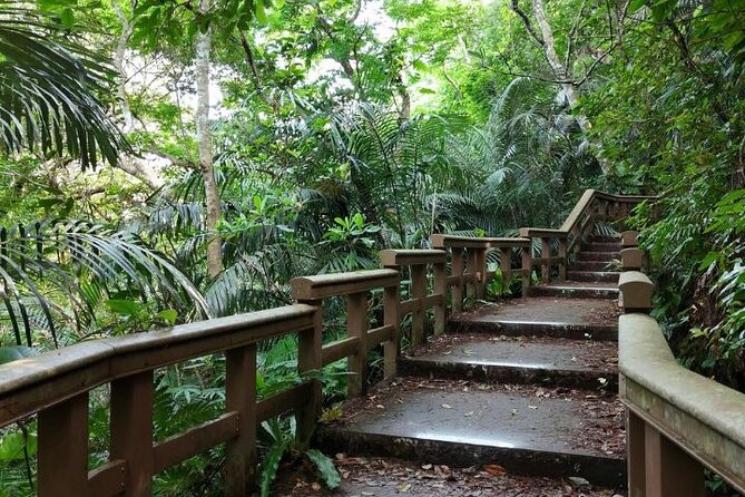 All-Inclusive Ishigaki Island Shore Excursion with English Guide - Yonehara Beach for a short coastal walk