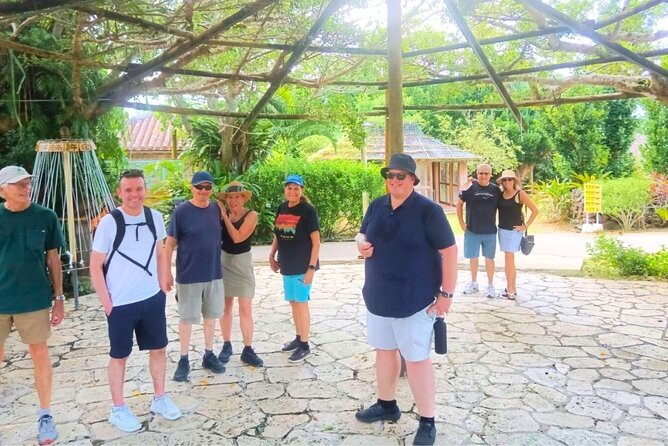 All-Inclusive Ishigaki Island Shore Excursion with English Guide - Ishigaki Yaima Village: island life in 40 minutes