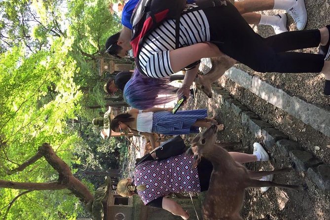 All must-sees in 3 hours - Nara Park Classic Tour! From JR Nara! - Nara Park between the major sights