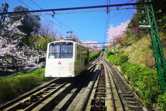 Amanohashidate & Miyama 1-Day Bus Tour: From Osaka/Kyoto w/ Lunch - Seeing Amanohashidate from the water