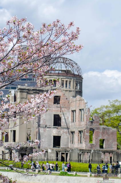 Amazing Hiroshima: Private City Tour with a Local Guide - Why Hiroshima and Miyajima work so well together
