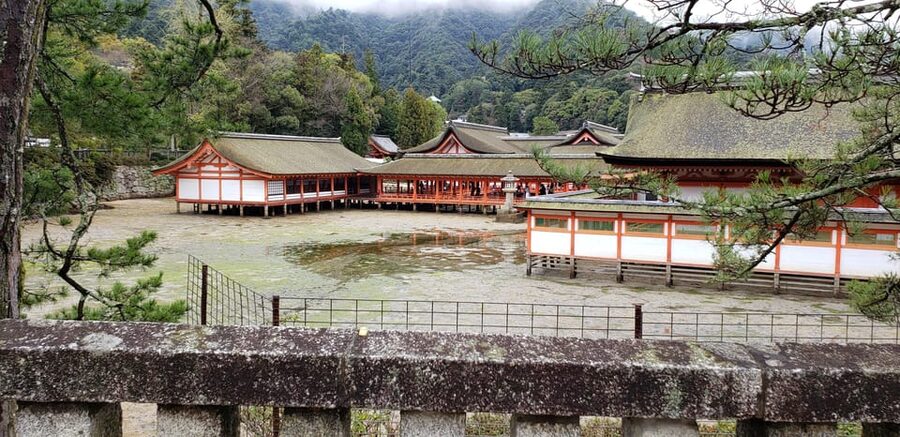 Amazing Hiroshima: Private City Tour with a Local Guide - Hondōri, Hiroshima Castle, and Shukkeien Garden