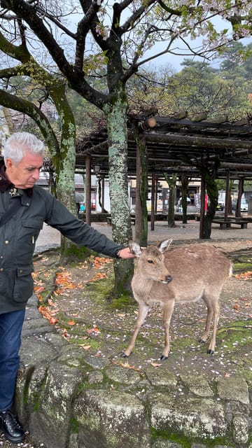 Amazing Hiroshima: Private City Tour with a Local Guide - What the $129 price includes
