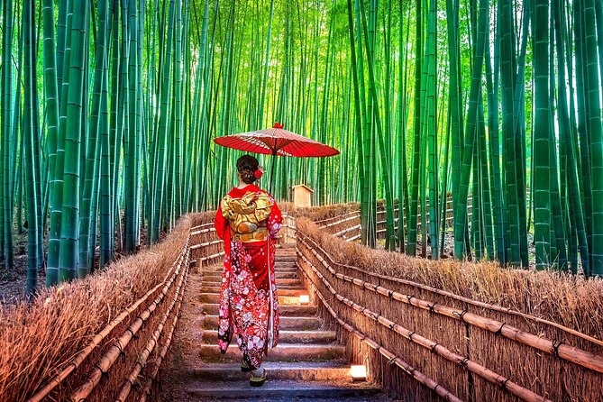 Ancient Capital Tour: Kyoto and Nara Highlights from Kyoto/Osaka - Walking, food, and booking choices