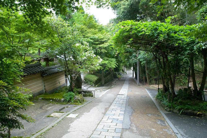 Arashiyama Bamboo Forest E-Biking Tour - Why the e-bike changes the Kyoto sightseeing day