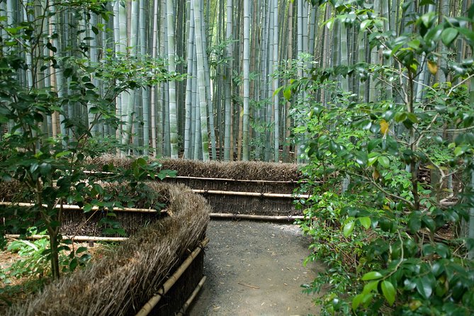 Arashiyama Bamboo Forest E-Biking Tour - Otagi Nenbutsu-ji and its 1,200 playful faces