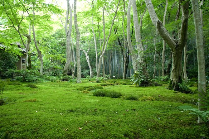 Arashiyama Bamboo Forest E-Biking Tour - Tōji-in’s moss, quiet, and slower pace