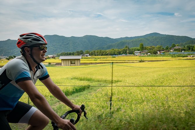 Arashiyama Bamboo Forest E-Biking Tour - The Arashiyama Bamboo Forest in real conditions