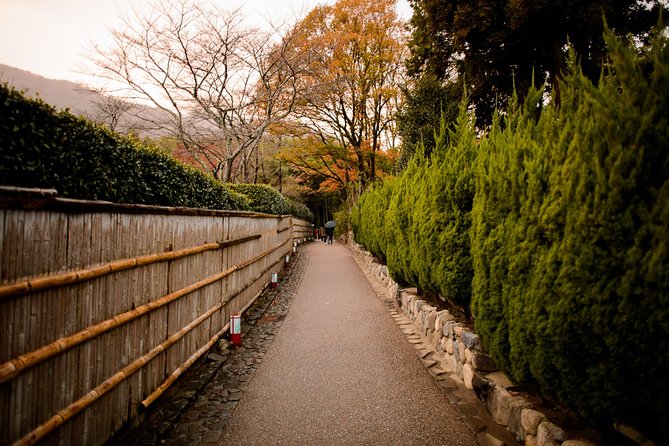 Arashiyama Bamboo Forest E-Biking Tour - The ride between the temples matters