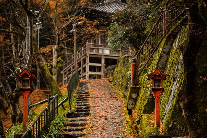 Arashiyama Bamboo Forest E-Biking Tour - What the guides add to the outing