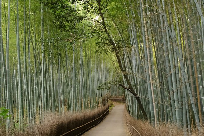 Arashiyama Bamboo Forest E-Biking Tour - Fitness, bike confidence, and weather